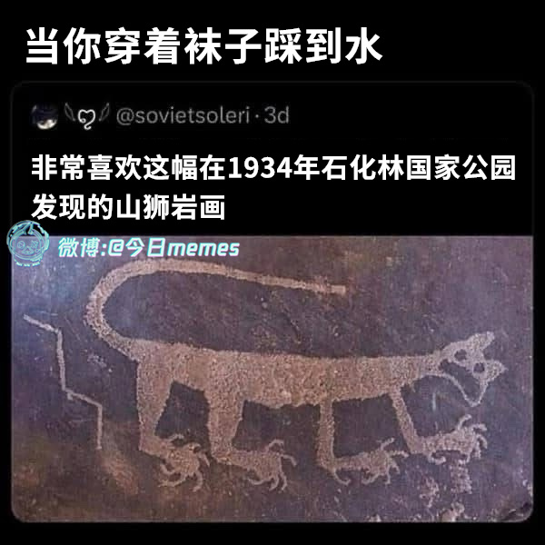 呃啊！！（9gag）今日meme[超话] 今日memes ​​​