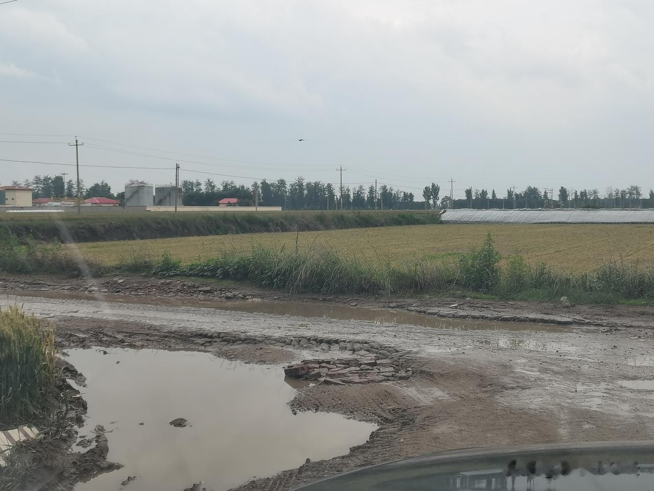 有没有哪位朋友知道，邢台宁晋至石家庄高邑之间的G339道路什么时候能修好？这段路