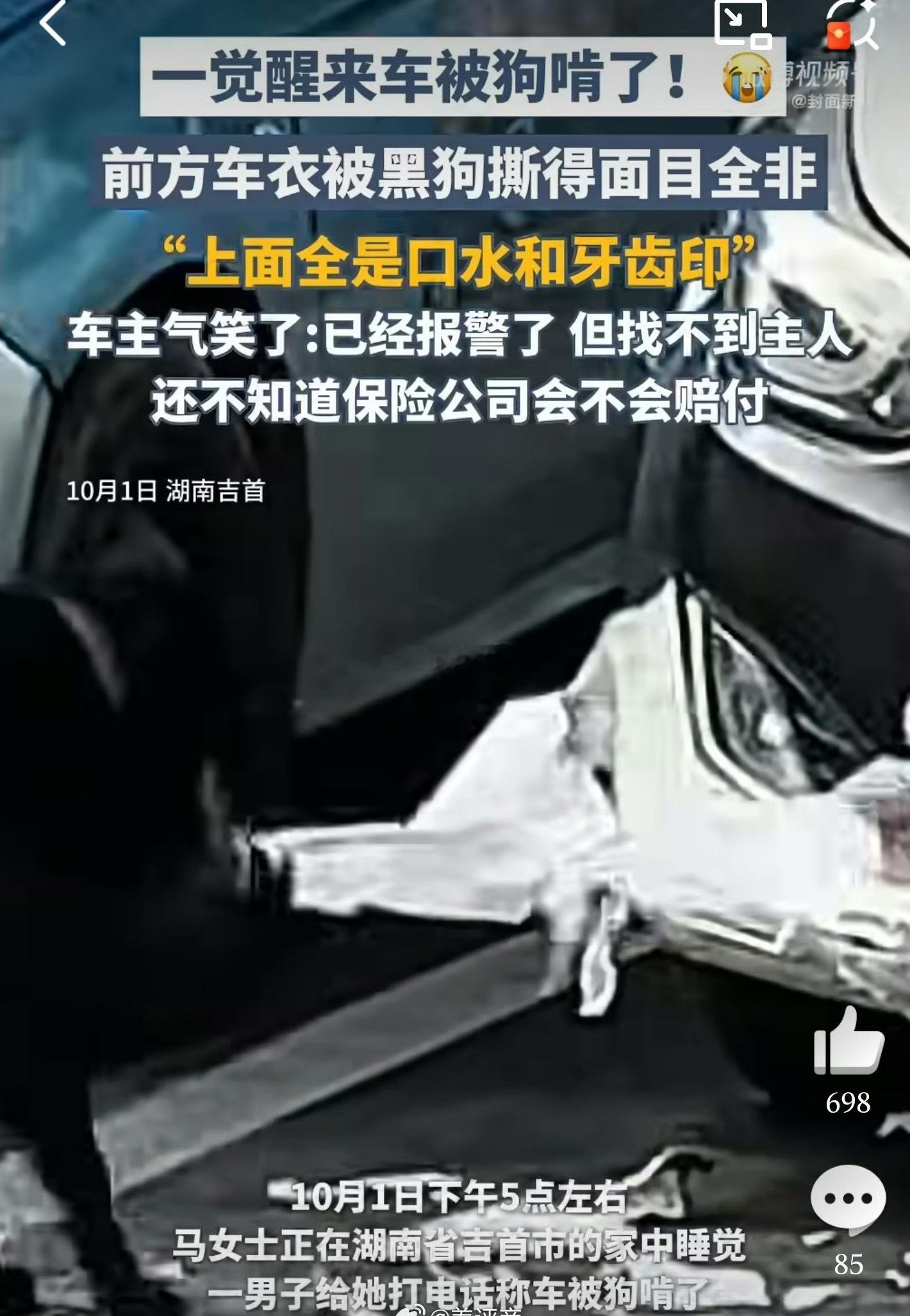 当年我那台绿色RS6也被村狗追着啃过一下……还好有车衣没掉漆，留下了牙印[允悲]