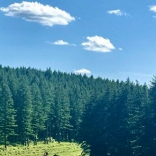 迪丽热巴迪丽热巴 dlrb迪丽热巴益起来善良是一棵生机无穷的种子，只要你舍得播种