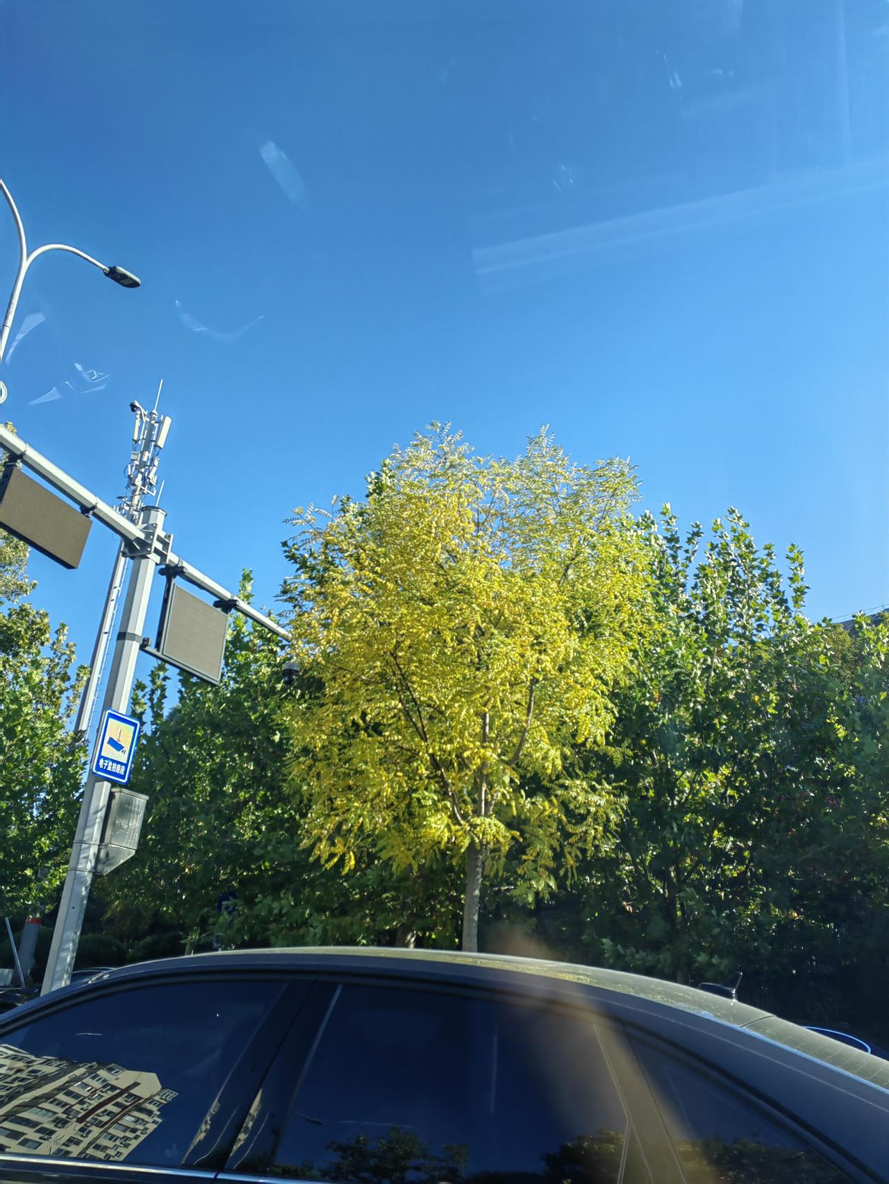 当初我找老公，确实是高攀了。别的不说，公婆有退休金这一条，就比着我父母好。

昨