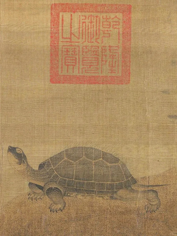 金代·张珪《神龟图》北京故宫博物馆藏绢本设色，纵26.5厘米，横53.3厘米。《
