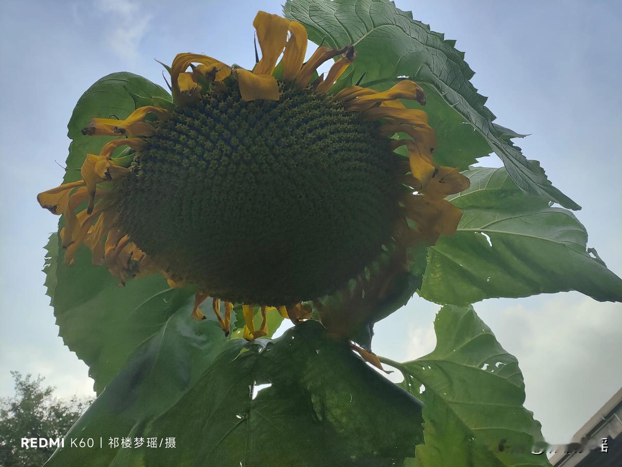 民办本科有必要上吗？
我是一个残疾人，当年高考的成绩高于普通本科线五十多分，但距