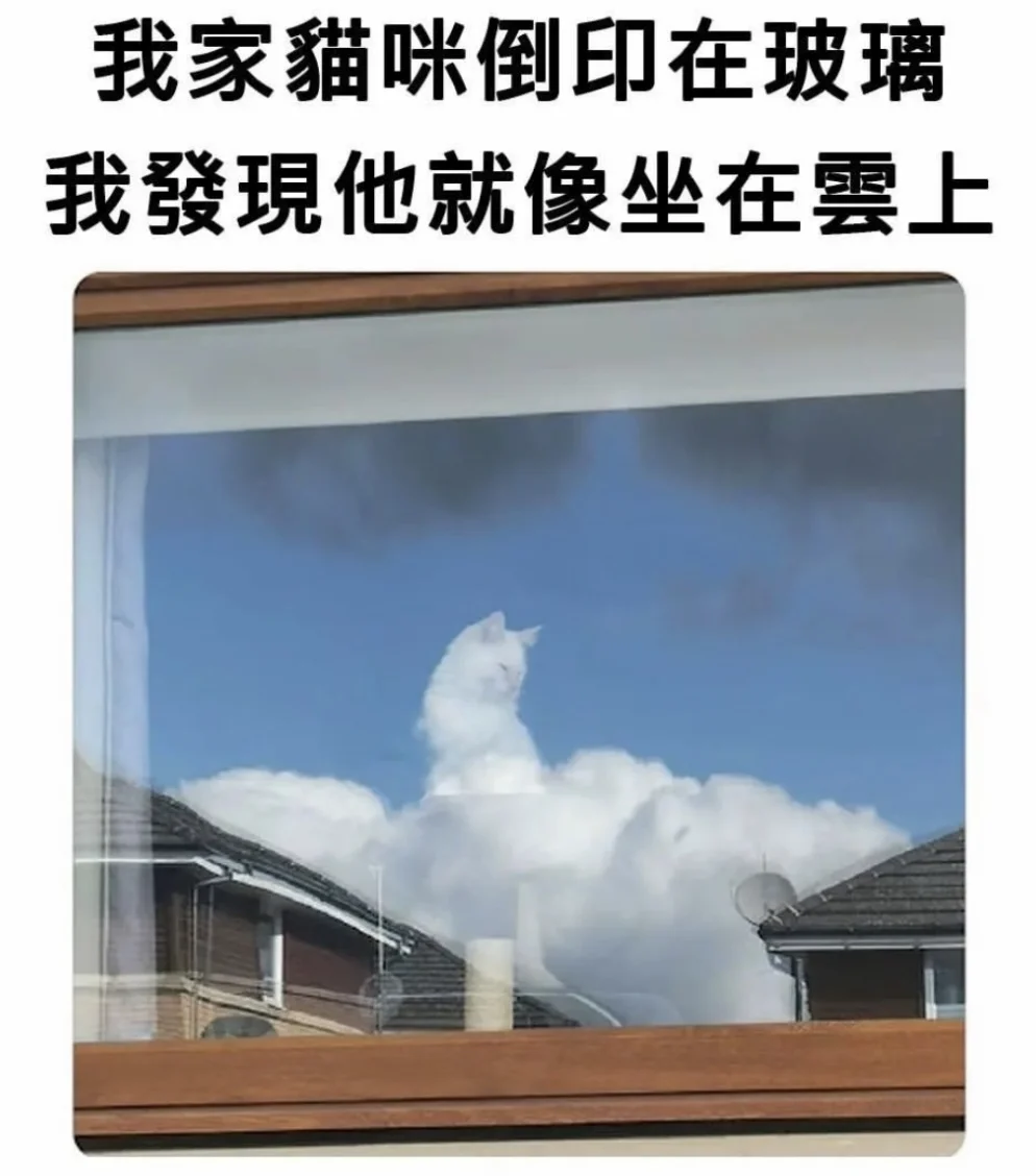 🎁🐱喵喵梗图系列🍀