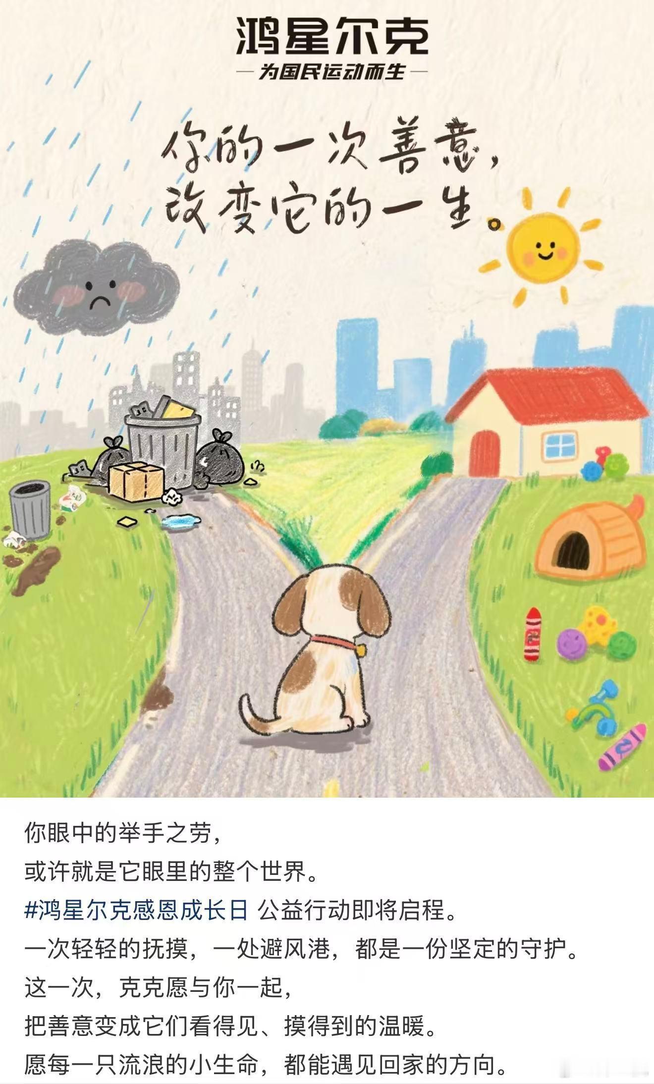 平时走在街头，总能遇见无家可归的流浪猫狗，本地不少救助站也经常因为物资不足发起求