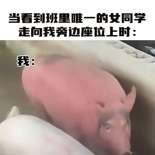 “那太有生活了” 原博:暴走的老王