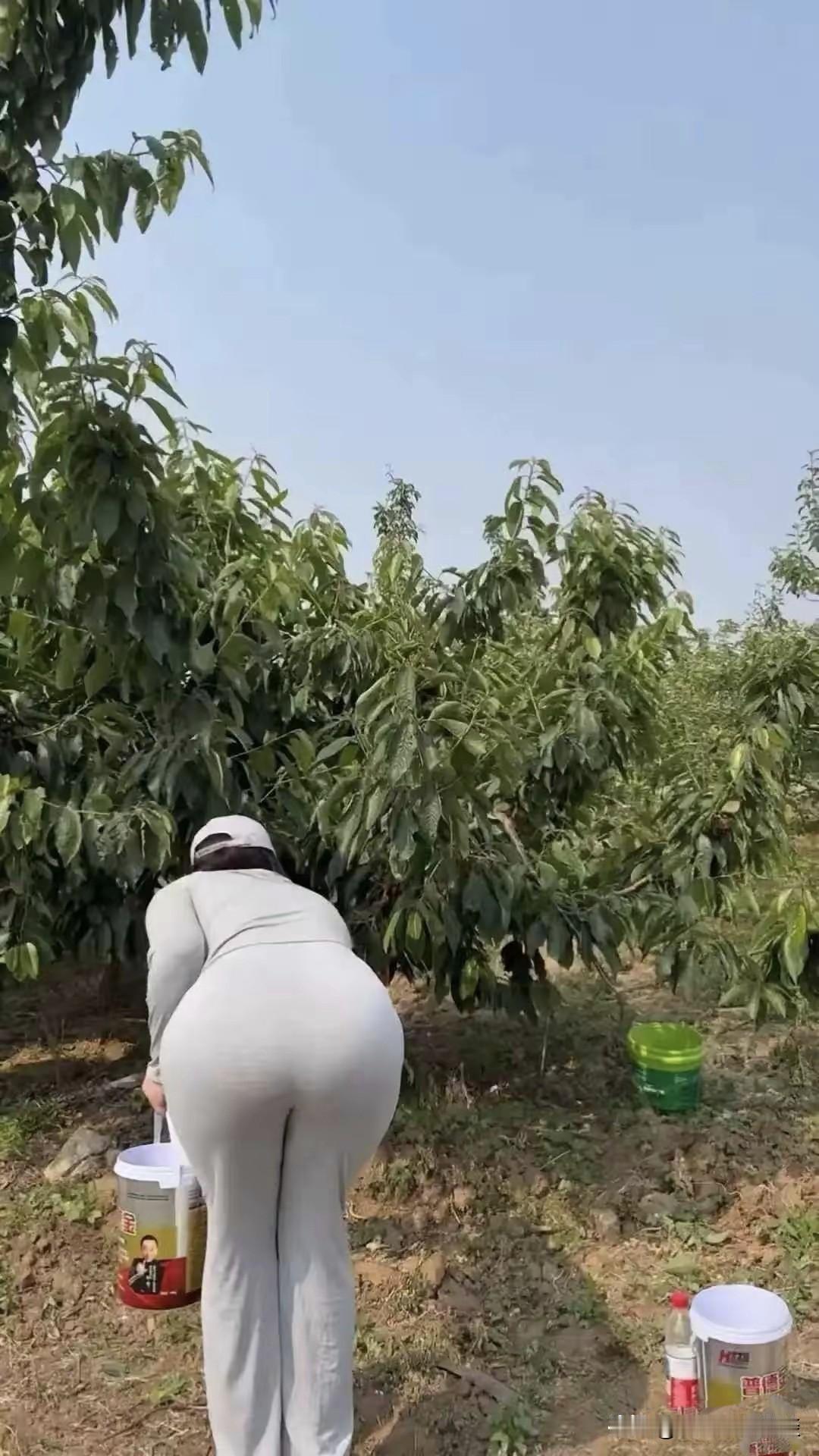 农村人每天都在和土地打交道，重复着播种、除草、施肥、收割这些繁重活儿。