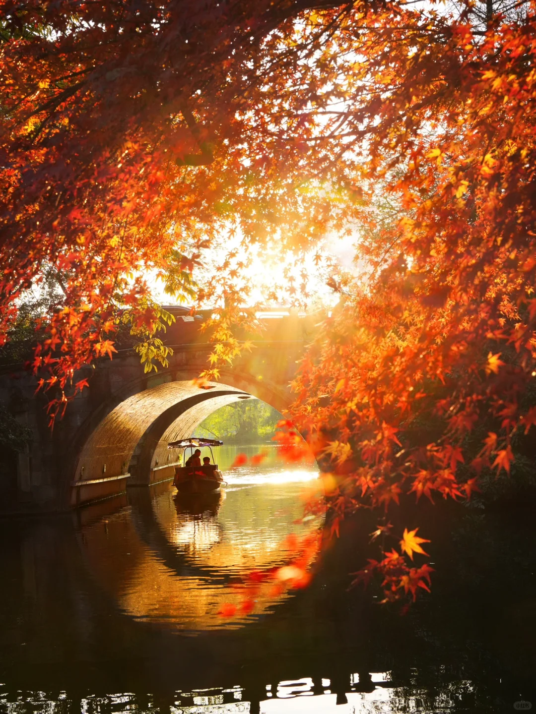 2024旅行结算| 好好的跟杭州秋天说再见吧