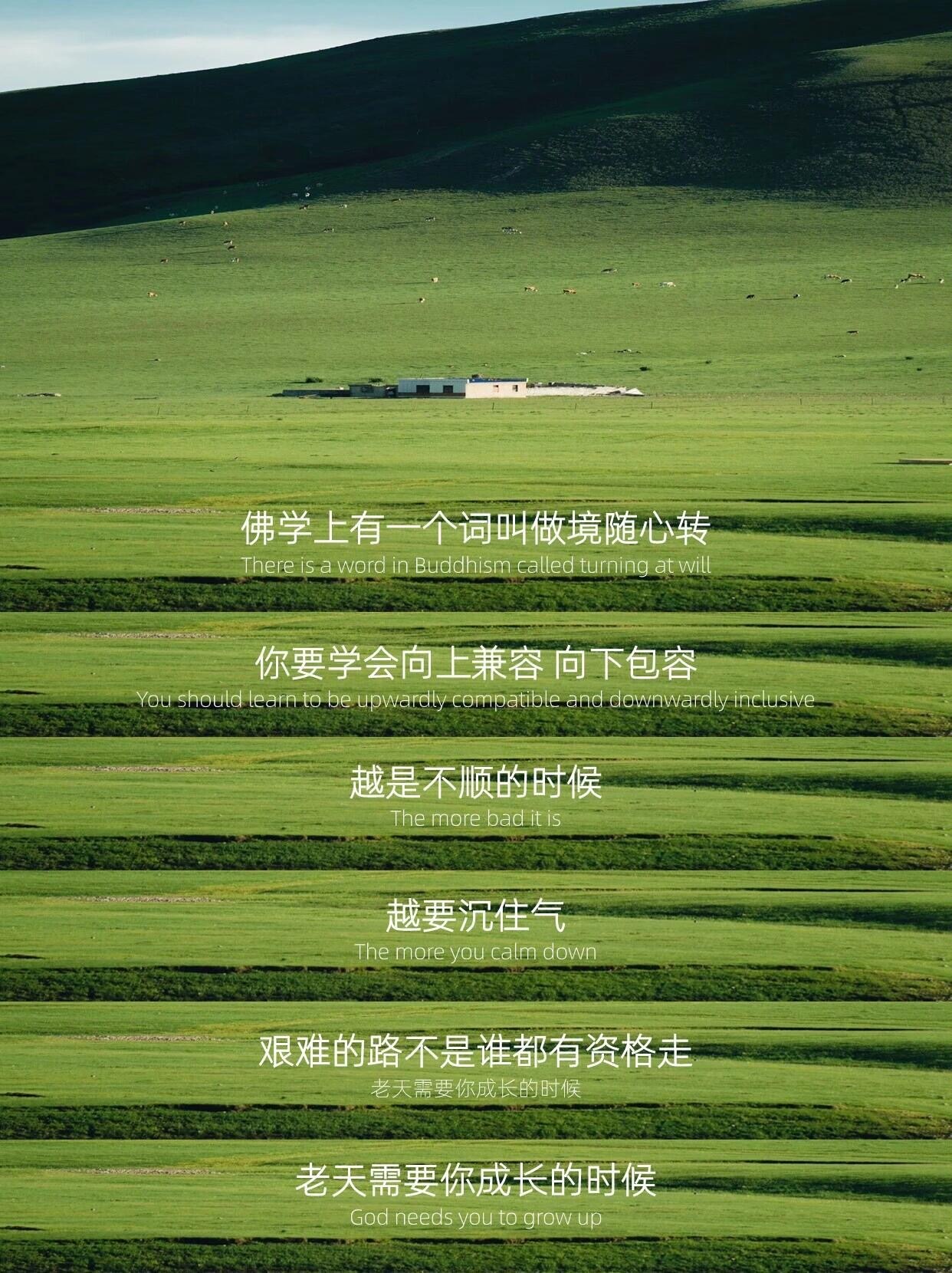 你只管努力，上天自有安排#我的春日狂欢日记# ​​​