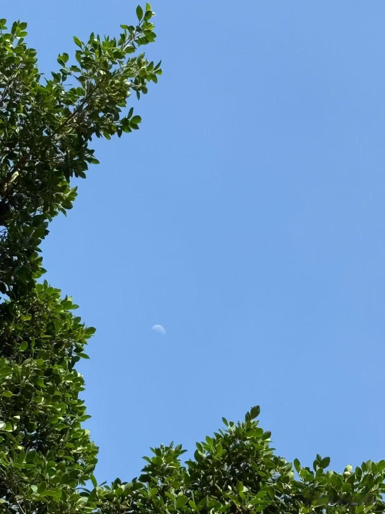 分享你随手拍的风景