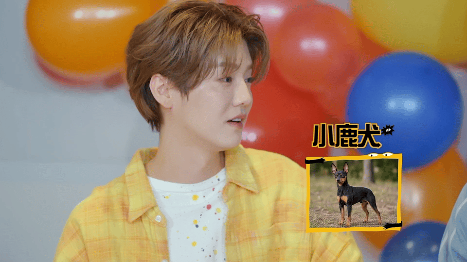 鹿晗叫李小冉姐姐 这个鹿晗喊姐姐也太萌了吧！李小冉五哈出场，和鹿晗握手时，小鹿边