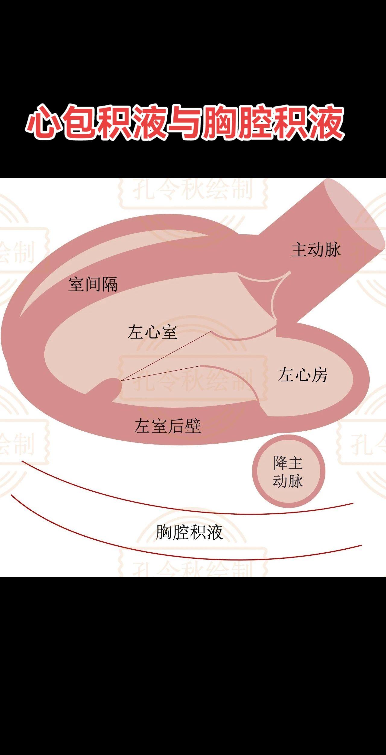 原创 每日分享 健康 强烈推荐