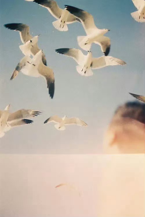 “今晚我可以写出。”智利·聂鲁达今晚我可以写出最悲哀的诗。写出，例如，"夜里星繁