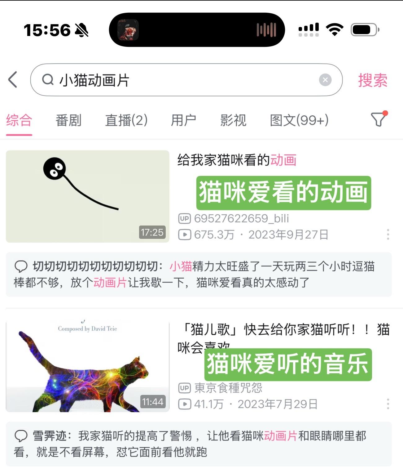 给大家推荐一个小猫爱看的动画片（b站可以看懵懵特别喜欢看 就是有点费电视