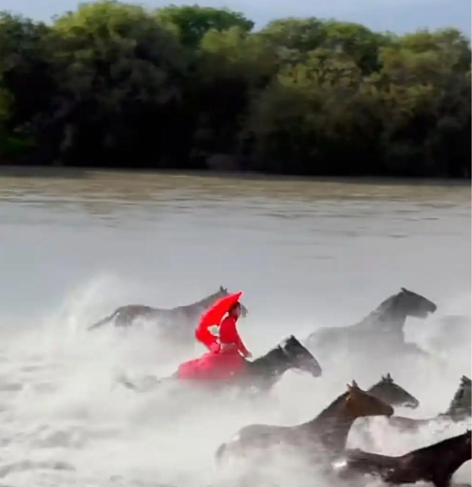 曾因"雪原策马"形象走红的干部贺娇龙，14日网传因伤抢救无效离世，心里感觉怪可惜