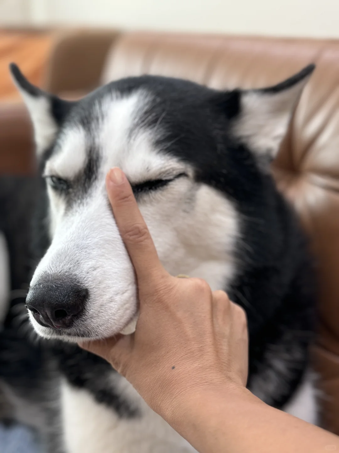 这个cos可以打几分