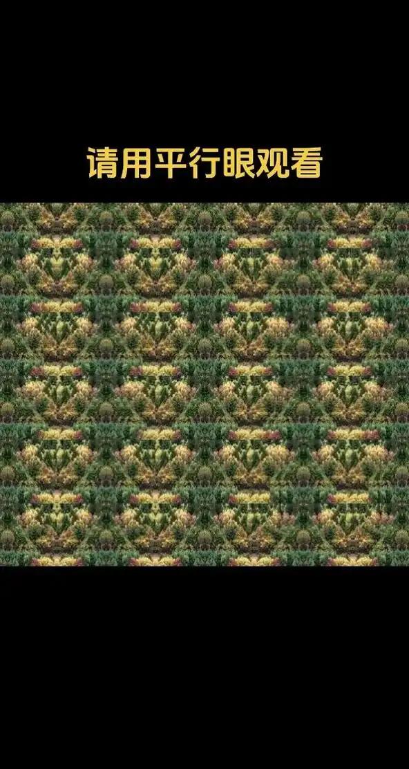 三维立体图哪个最恐怖？
3D裸眼立体图 裸眼三维图