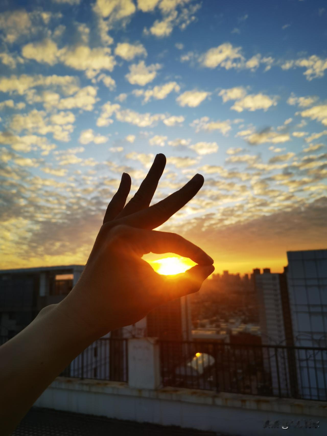 2026最想实现的一件事 日落时分，手捧夕阳，温暖如初❤️