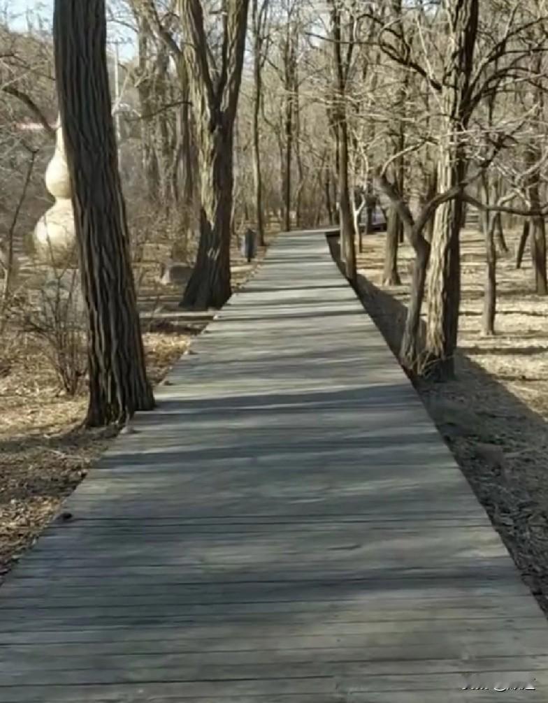 关于春节上班，我还是高兴太早了。
由于班上是真没人，昨晚店长下班交待了，让我先休