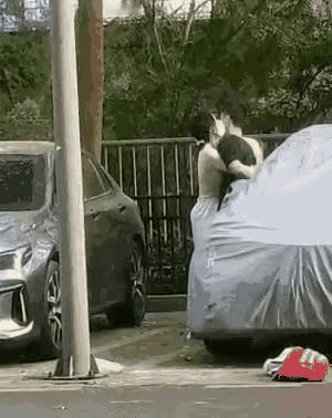 一对情侣情不自禁地亲吻着，路边车来人往，男孩都不好意思，不停地推开女孩，女孩就是