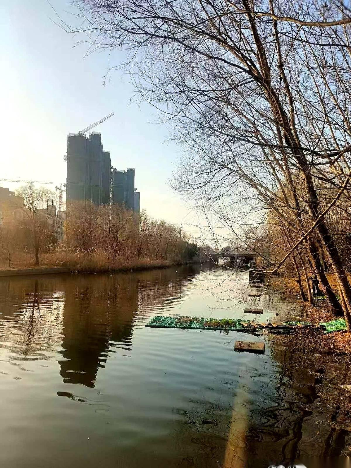指尖往儿子耳朵后面一按，软的，陷下去了。
明明上周挂了两天水，他说好了，怎么现在