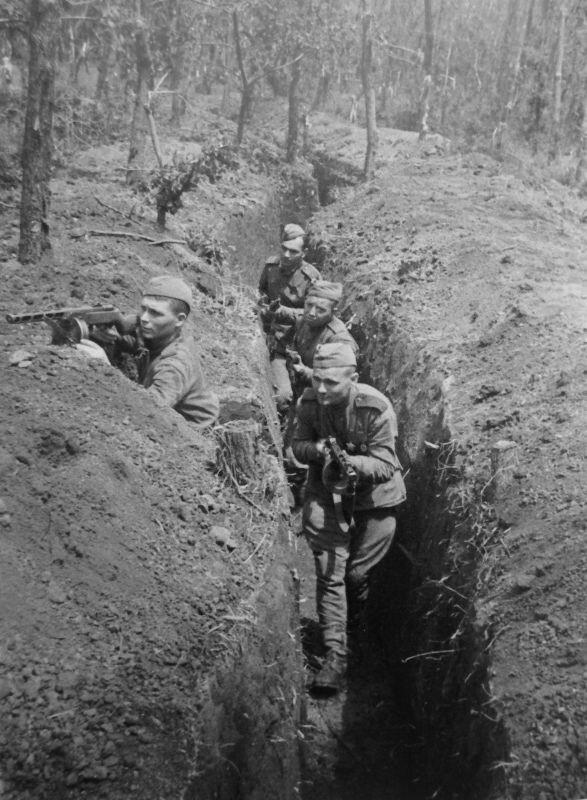 这张照片拍摄于 1944 年 6 月至 8 月基茨坎登陆场作战期间，记录了苏联乌