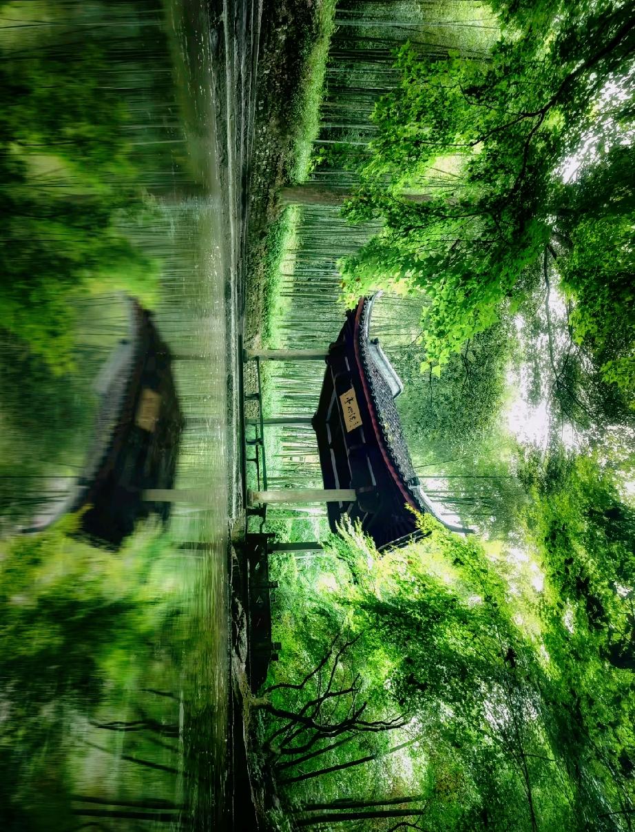 ：）很多中国父母，特别喜欢全红婵、韦东奕这种——

有实力，但外形、穿着、谈吐和