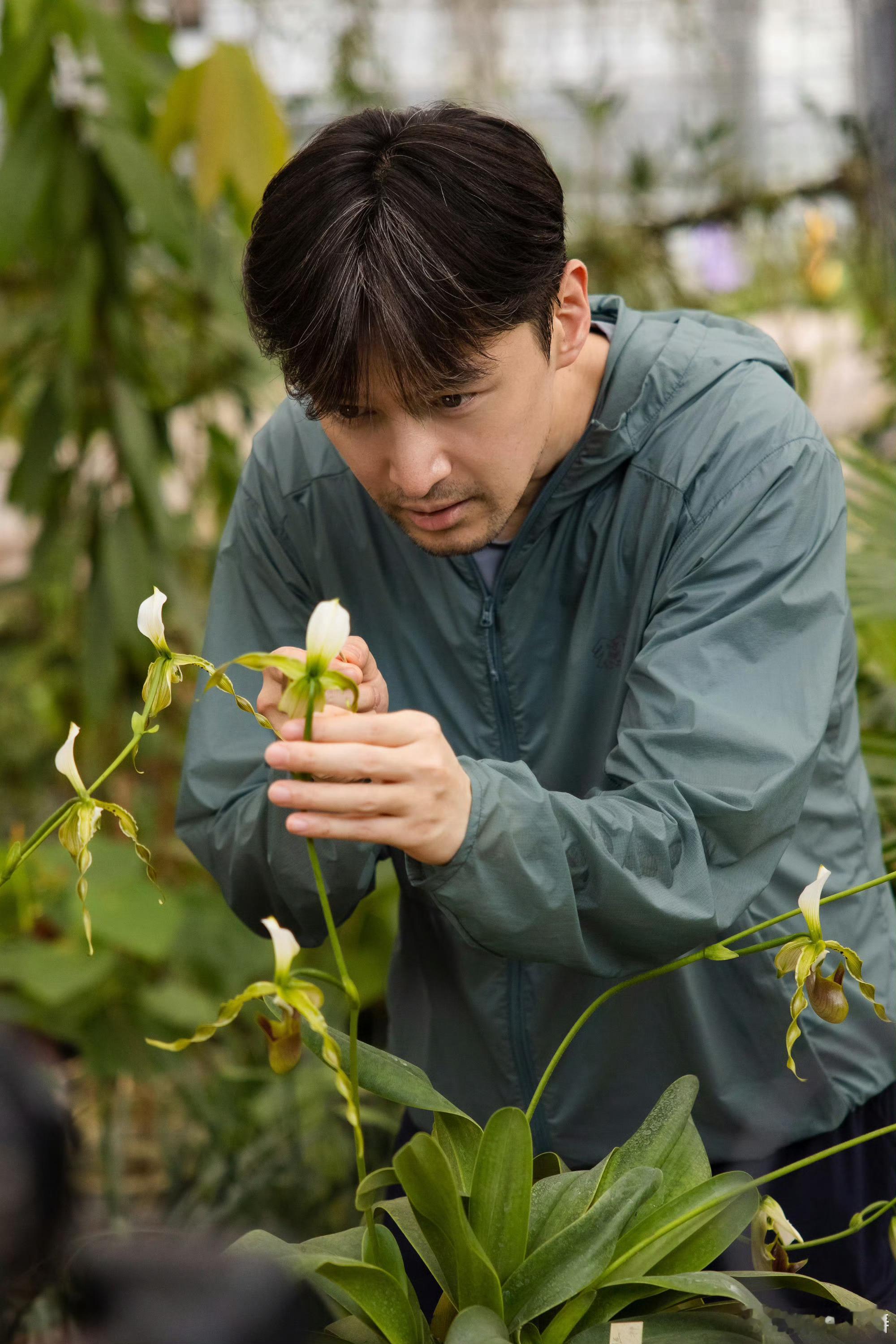 昆虫达人劝胡歌转行  胡歌不仅演技精湛，昆虫知识也是杠杠的牛！昆虫界的小伙伴都来