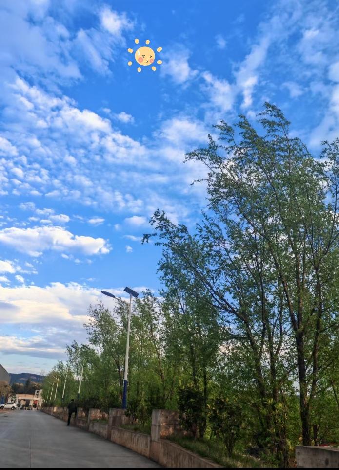 这是云南的天空的风景！

家人们快看这天空也太治愈了吧！抬头就是一整片透亮的蓝，