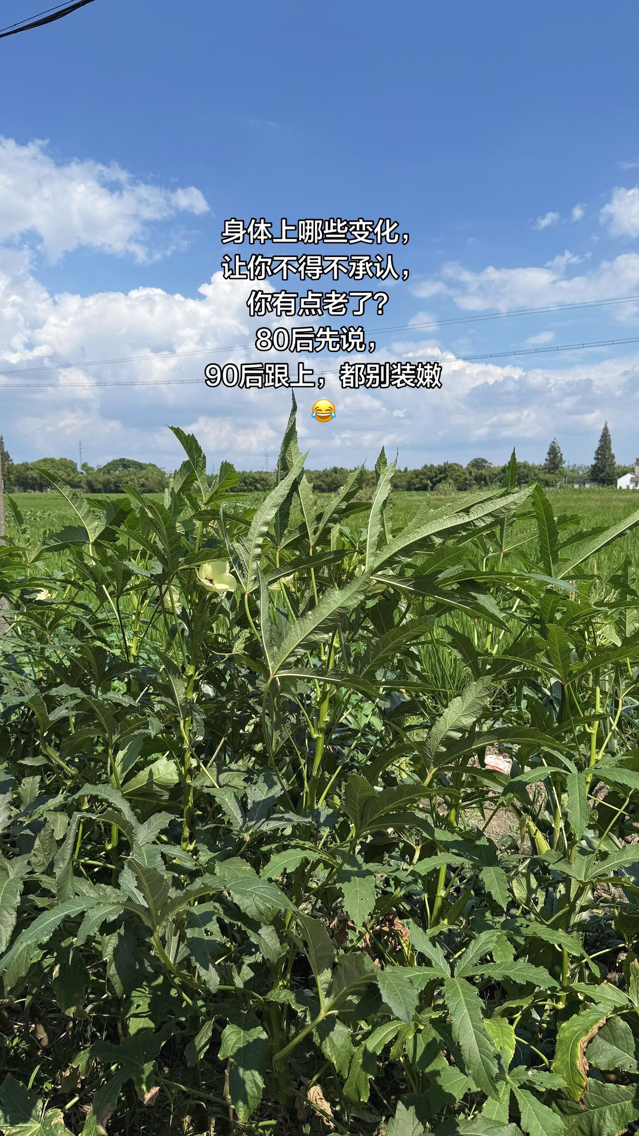 身体上哪些变化，让你不得不承认，你有点老了？80后先说，90后跟上，都别装嫩😂