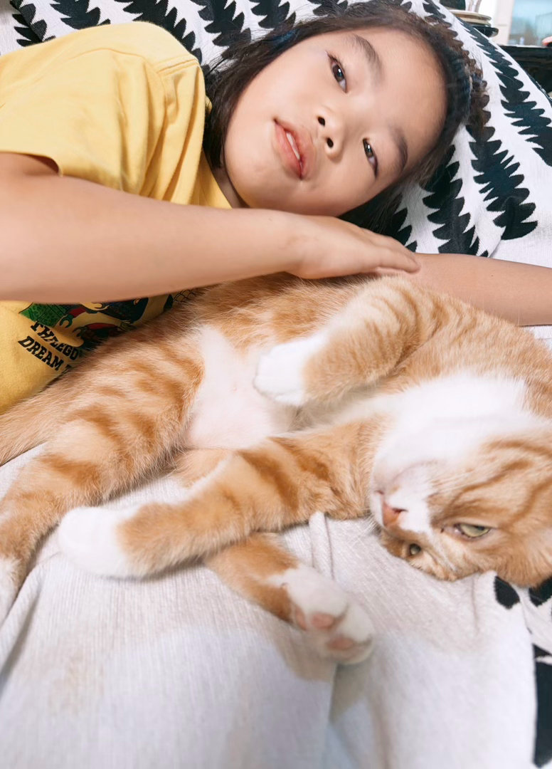 旺仔的假期，是有猫陪伴的假期😁外婆家有四只猫，他偏偏“驯服”了最懒、最贪吃的阿