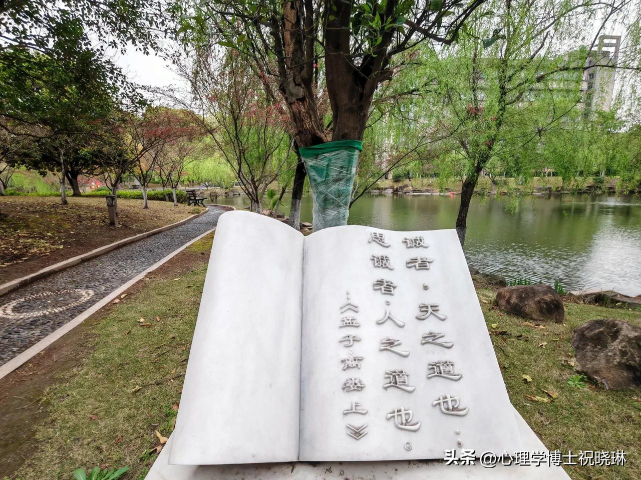 春雨绵绵，海棠怒放; 小路弯弯，玉兰掩面; 发现生活，捕捉细弱;心中有梦，​自在