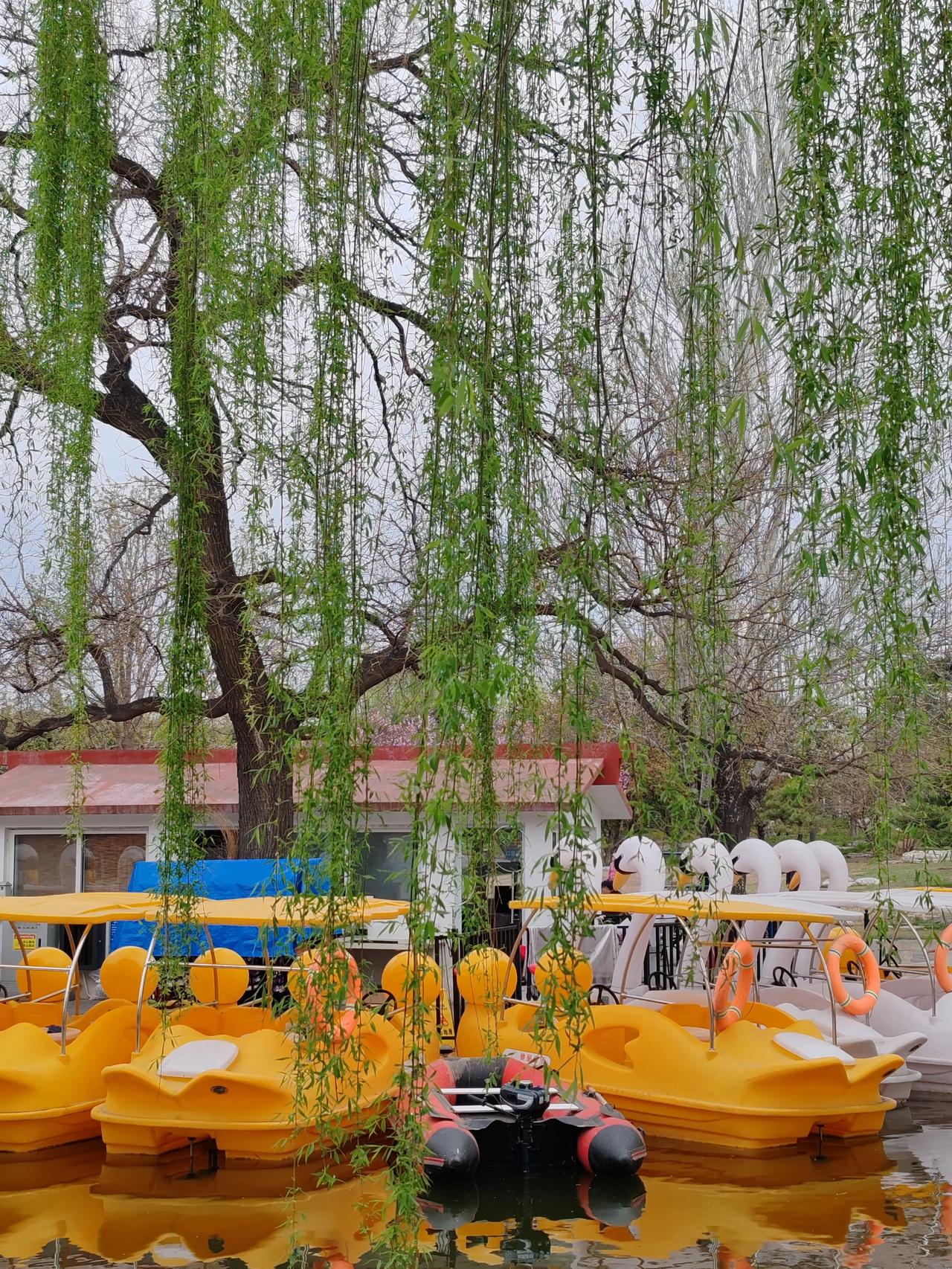 春日生活打卡季春日随手拍。