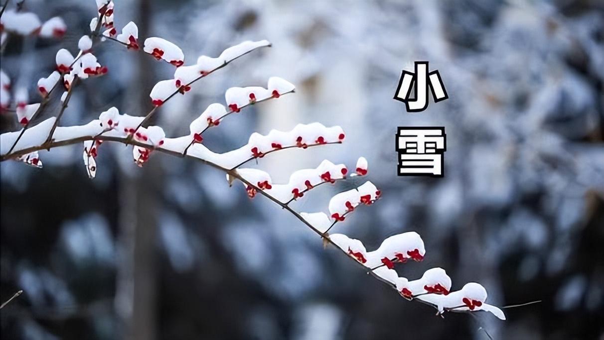 11月22小雪，提醒中老年:别太心疼钱，多吃3种肉，强腰肾温暖过冬
小雪节气到了