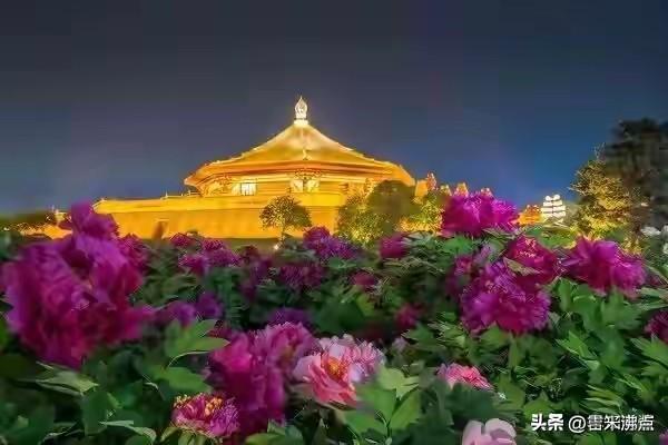 洛阳牡丹文化节（第43届）将于2026年4月1日至30日举行，主题“一路繁花向洛