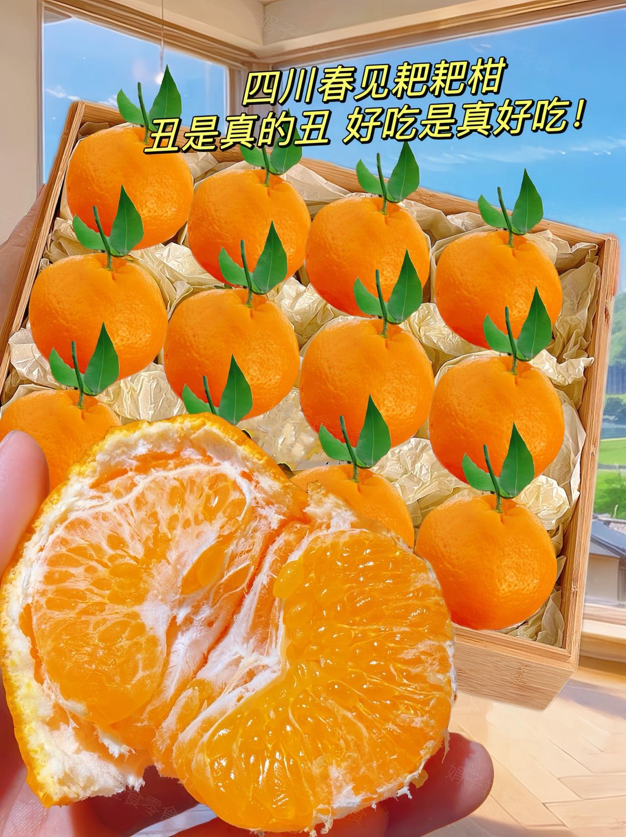 巨好吃的四川春见耙耙柑，你们都吃了没?就连我妈妈都连连称赞的果子!扒开皮里面是一
