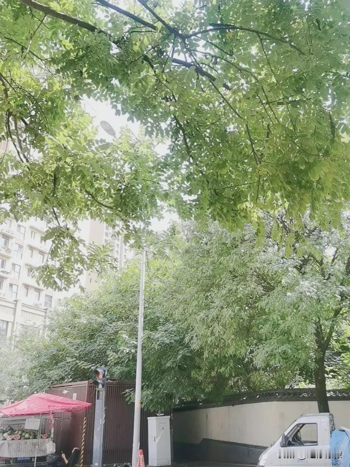 晒图笔记大赛又热起来了[笑哭]