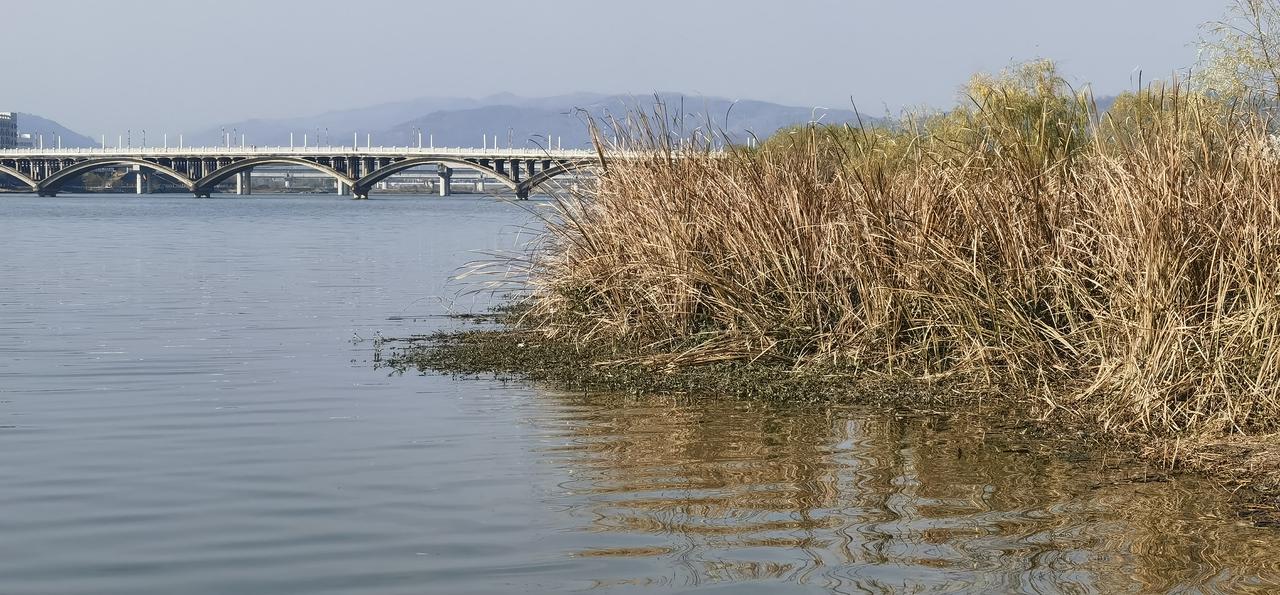 分享一张随手拍沔阳.汉江之冬