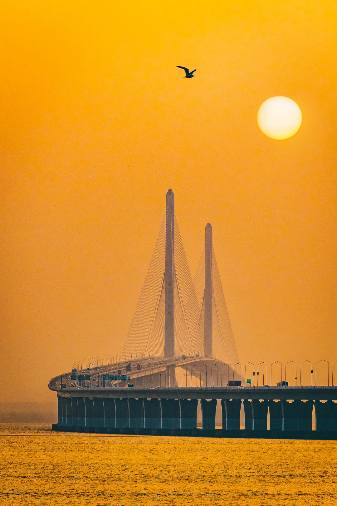 为了这个海上落日🌄，我特地去了趟崇明岛！