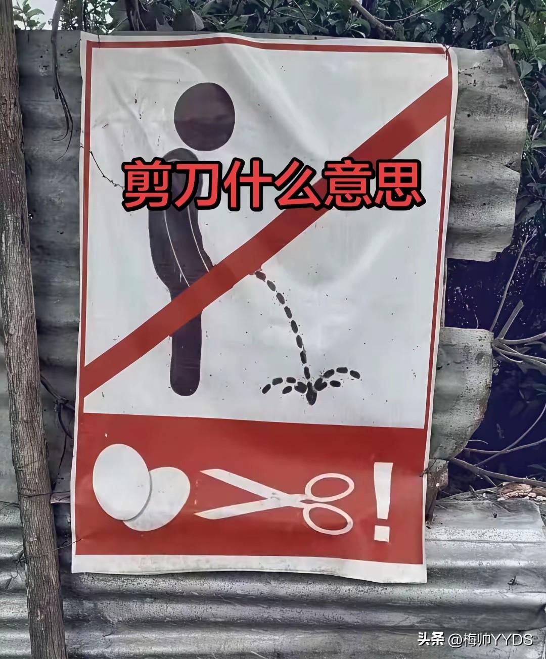 这是什么意思？