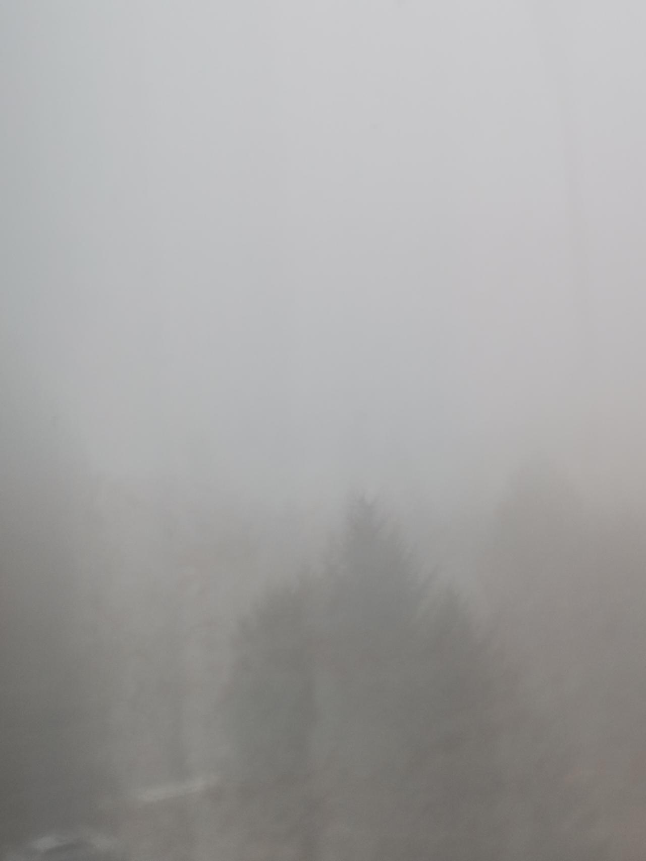 坐标吉林市，3月23日清晨6点20分，大雾弥漫，能见度极低，出行务必注意安全。