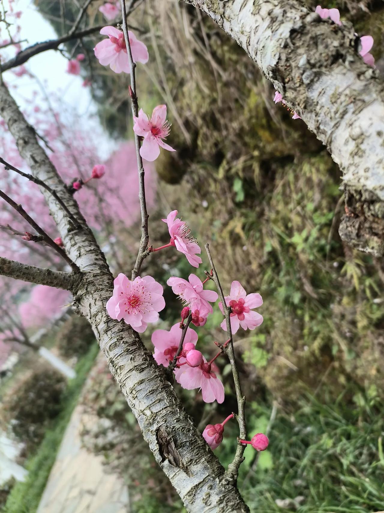无卡刷脸存款
去建设银行存款，谁都没带卡，那就存闺女卡上，让闺女自己去刷脸
选择