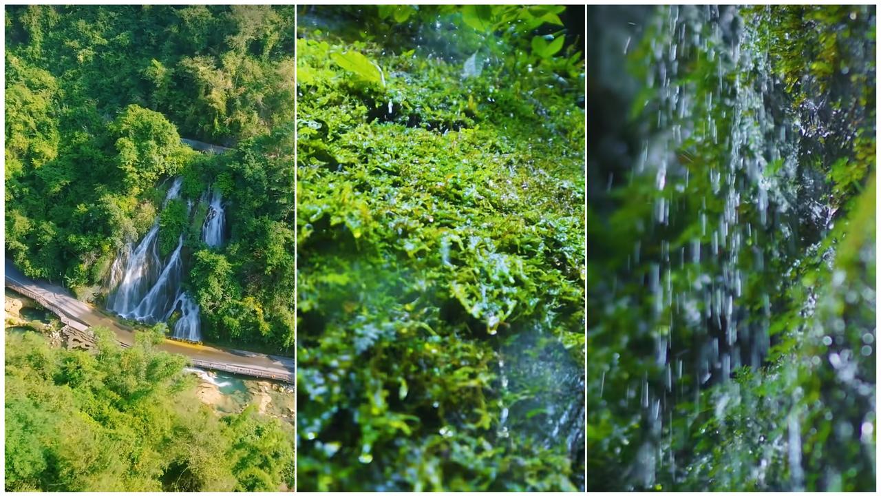 藏在古诗中的“立夏”，你知道多少？
目之所及，皆是绿意，今日立夏。
