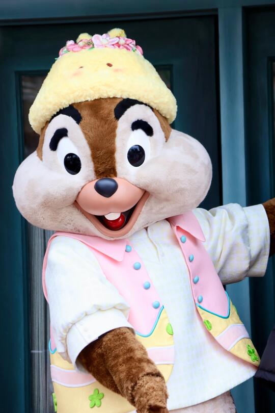 ❤️奇奇蒂蒂小可爱❤️