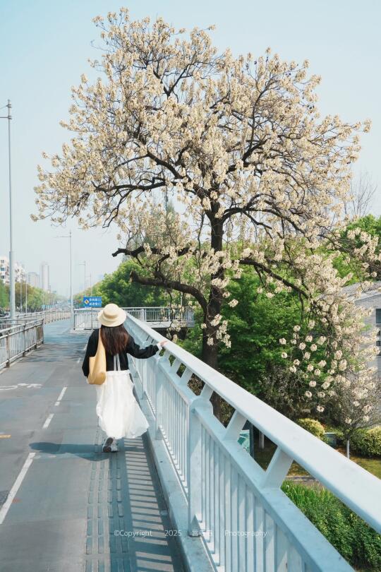四月宁波含春量，严重过载啦！