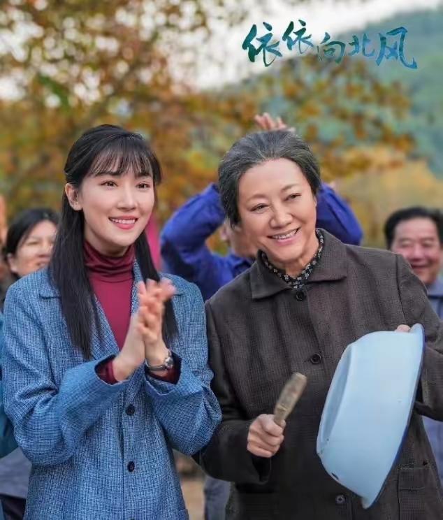 年代剧《依依向北风》今晚央八首播 接档《沉默的荣耀》：《沉默的荣耀》大结局酷云峰