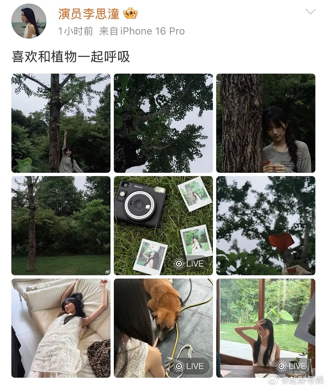 李思潼营业很灵 