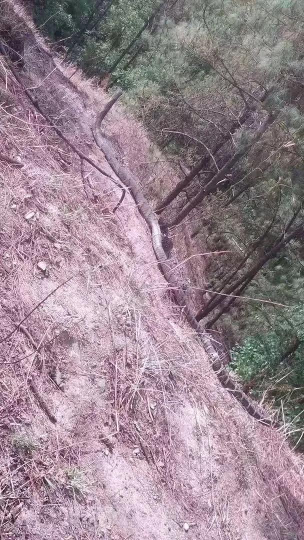 山顶顶居然有人拉条大水管在这里，不知道是干嘛用的[捂脸]
