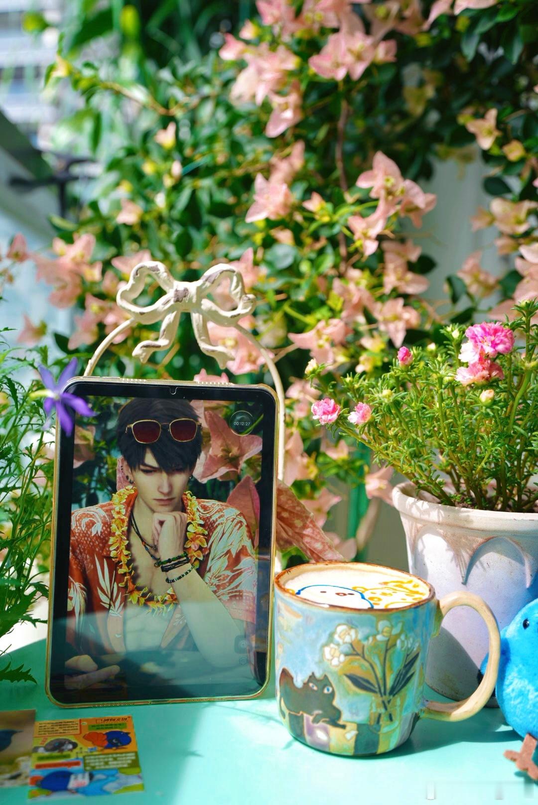 早午安⁽˙⁸˙⁾₍.₈.₎ꕤ买了一只萌萌的于一和哥很适配的小鸟。今天三角梅更旺了