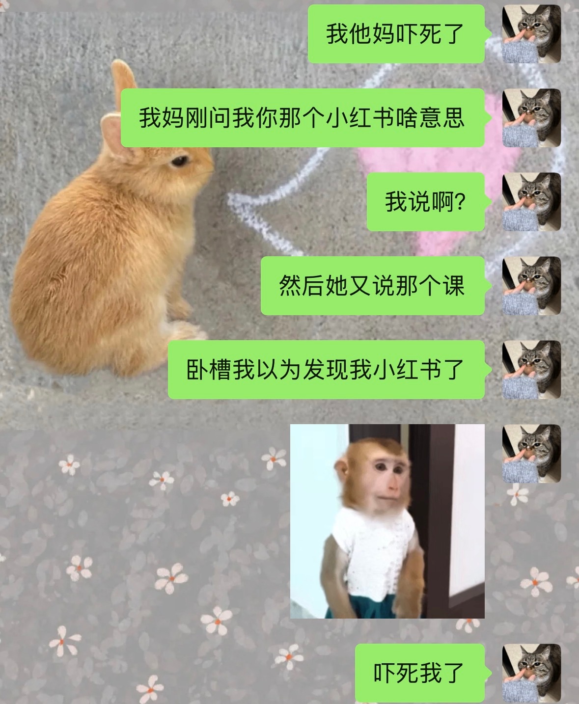 谁敢看我小红书抖音微博 